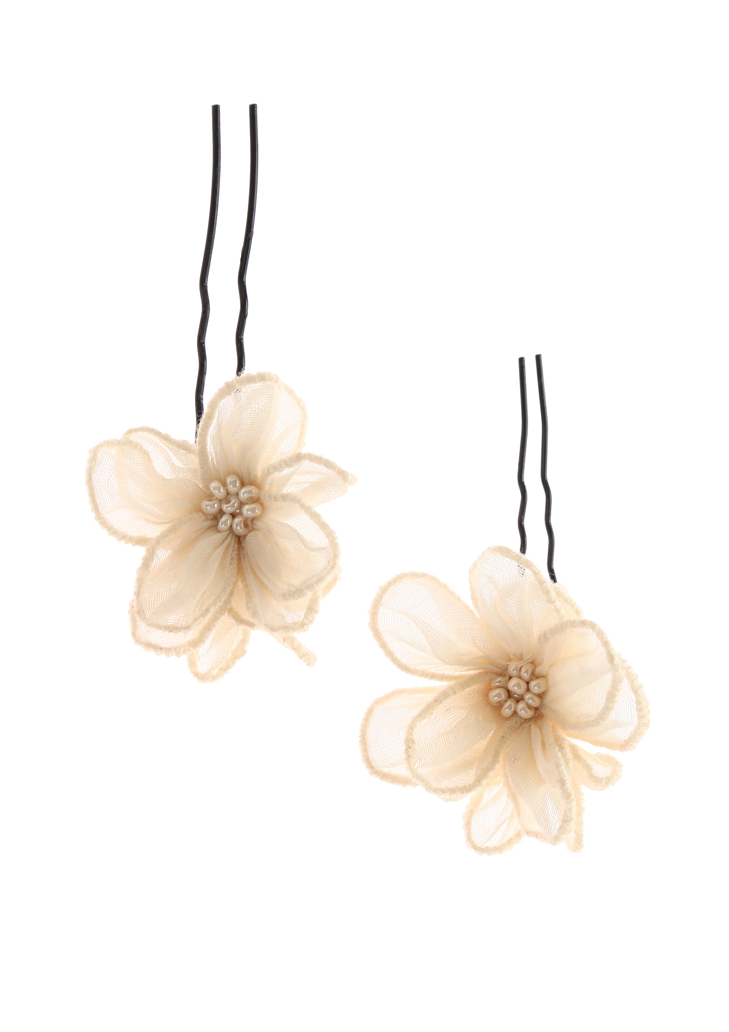 Moon Flower Judapin