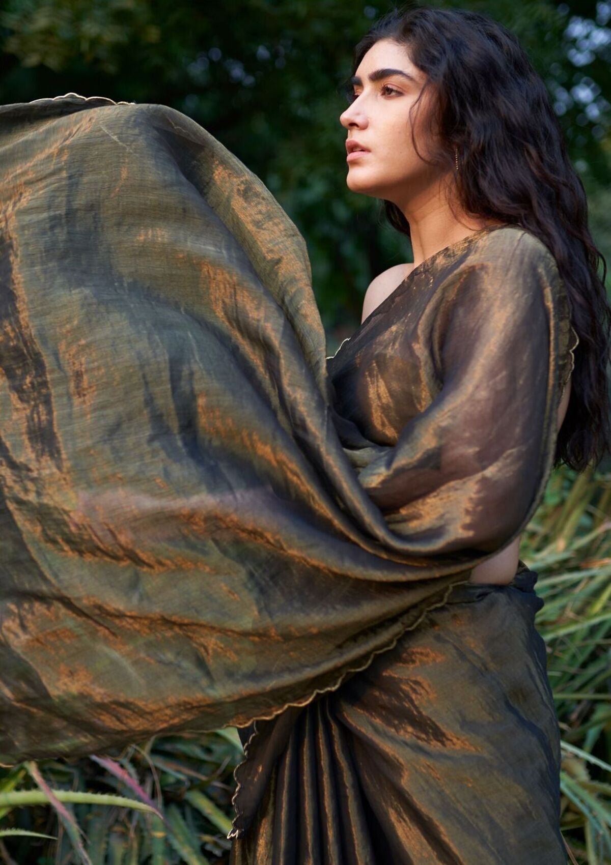 Midnight Charcoal Tissue Chanderi Saree