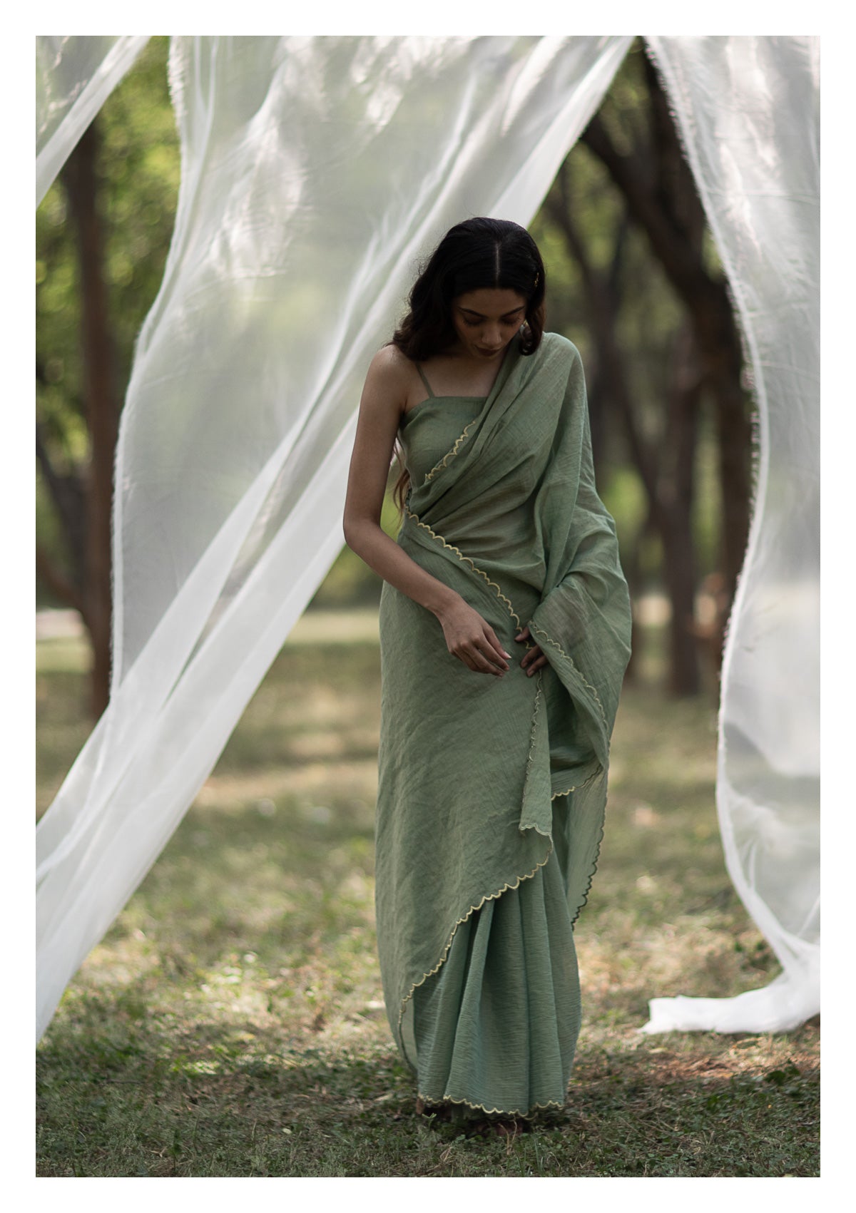 Sage Olive Tissue Chanderi Saree