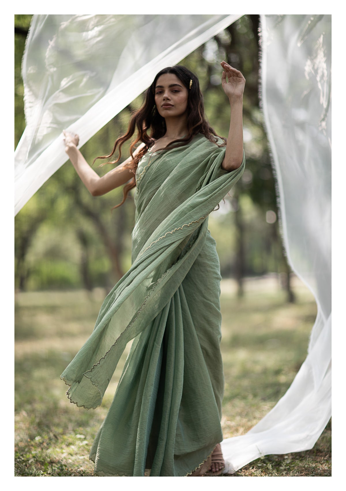 Sage Olive Tissue Chanderi Saree