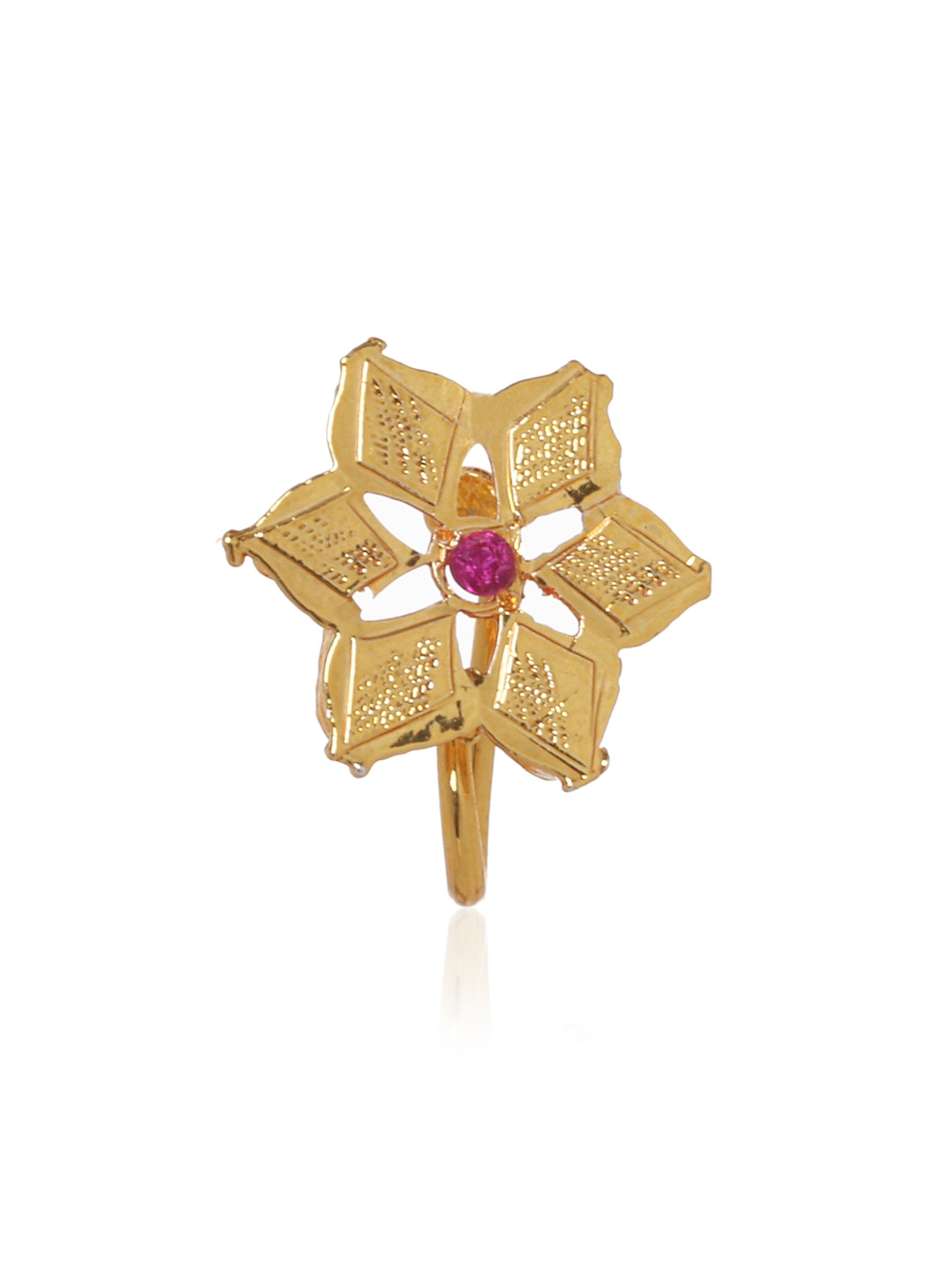 Tithi Gold Tone Silver Nosepin