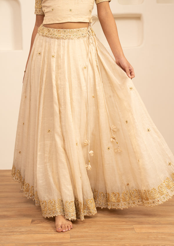 Shayari Tissue Chanderi Skirt main image 0