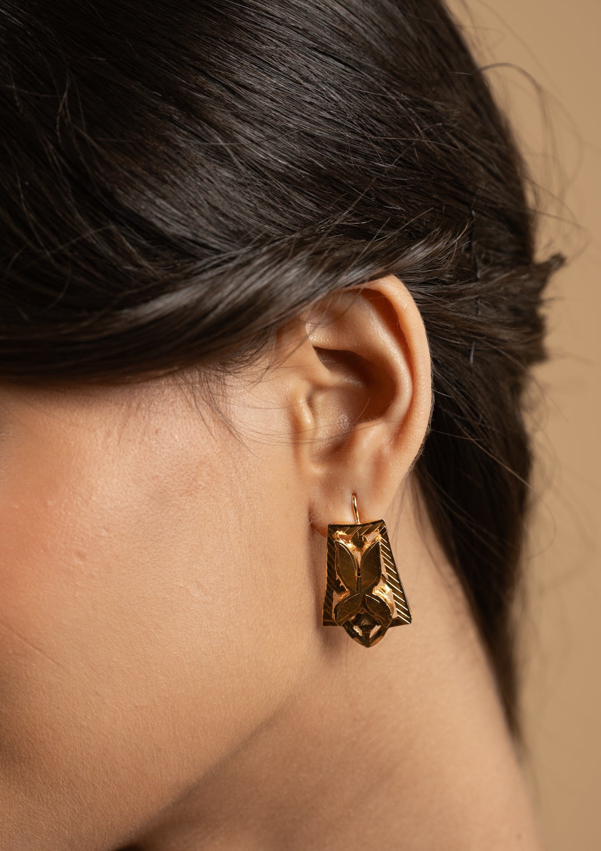 Nida Gold Tone Silver Earrings