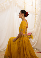 Shayari Tissue Chanderi Skirt